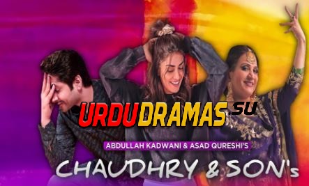 Chaudhry And Sons actors real names